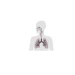icono pulmones